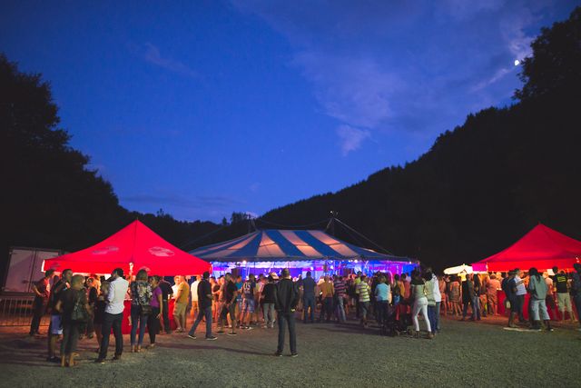 Festival de l'arbre creux